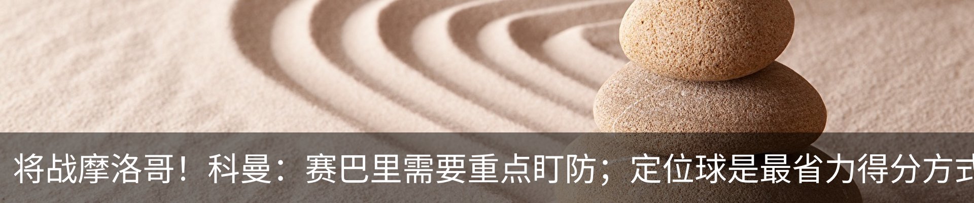 最新动态