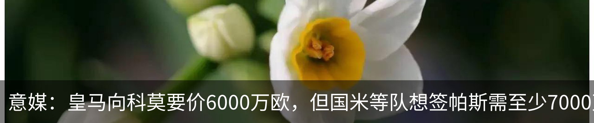 最新动态